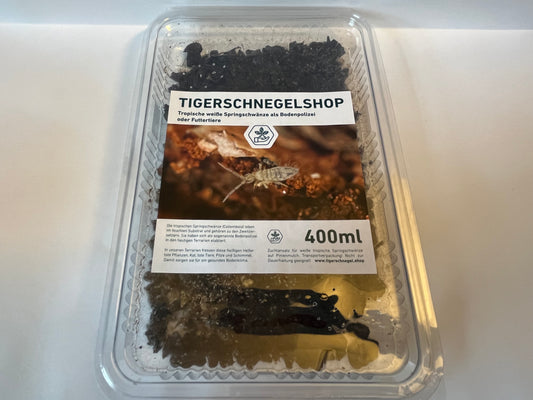 Tropische weiße Springschwänze als Bodenpolizei und Zuchtansatz oder als Futterinsekten und Futtertier