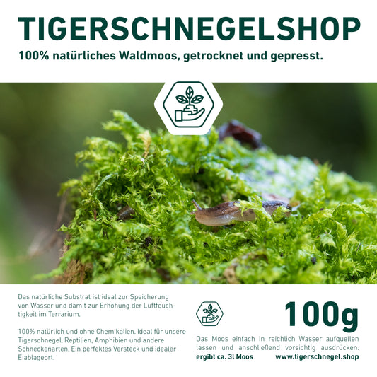 100% natürliches Waldmoos, getrocknet und gepresst.