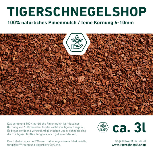 Pinienmulch als natürliches und feines Terrariensubstrat im 3 Liter Beutel